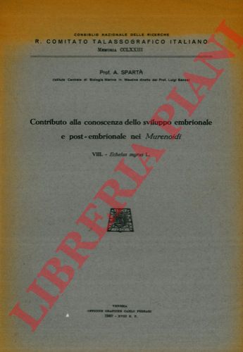 SPARTA' (Antonio) - - Contributo alla conoscenza dello sviluppo embrionale e post-embrionale nei Murenoidi. VIII. Echelus myrus.