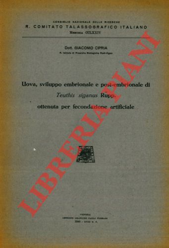 CIPRIA Giacomo - - Uova, sviluppo embrionale e post-embrionale di Teuthis siganus Ruepp. ottenuta per fecondazione artificiale.