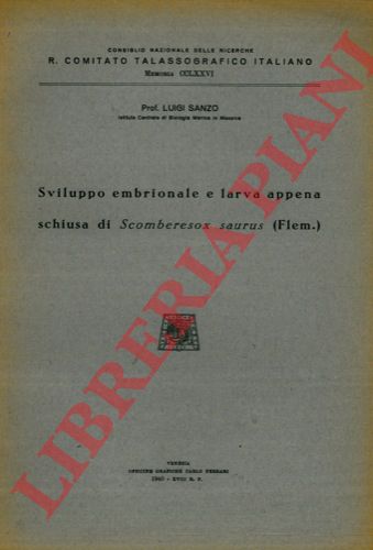 SANZO Luigi - - Sviluppo embrionale e larva appena schiusa di Scomberesox saurus (Flem.)