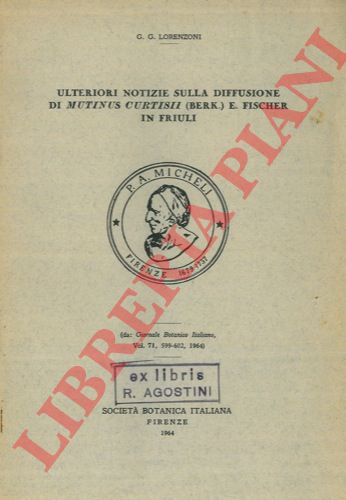 LORENZONI G. G. - - Ulteriori  notizie sulla diffusione di Mutinus curtii (Berk.) E. Fischer in Friuli.