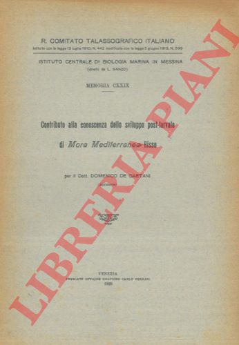 DE GAETANI Domenico - - Contributo alla conoscenza dello sviluppo post-larvale di Mora mediterranea Risso.