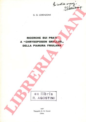 LORENZONI G. G. - - Ricerche sui prati a 