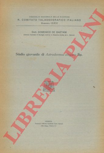 DE GAETANI Domenico - - Stadio giovanile di Astrodermus elegans Bp.