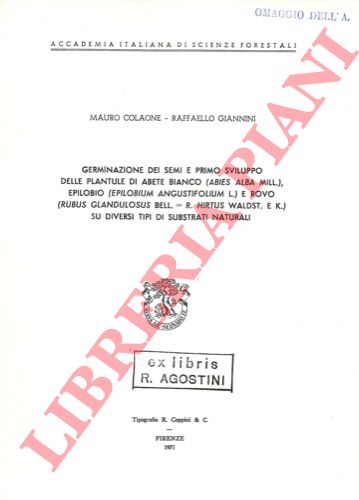 COLAONE Mauro - GIANNINI Raffaello - - Germinazione dei semi e primo sviluppo delle plantule di abete bianco (Abies alba Mill.) epilobio (Epilobium angustifolium L.) e rovo (Rubus glandulosus Bell. = R. Hirtus Waldst e K.) su diversi tipi di substrati naturali.