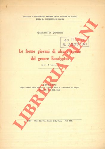 DONNO Giacinto - - Le forme giovani di alcune specie del genere Eucalyptus.