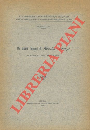 MORTARA Silvia - - Gli organi fotogeni di Abralia veranyi.