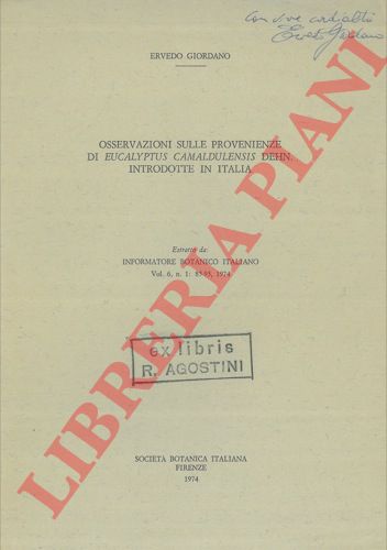 GIORDANO Ervedo - - Osservazioni sulle provenienze di Eucalyptus camaldulensis Dehn. Introdotte in Italia.