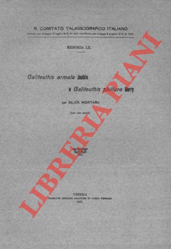 MORTARA Silvia - - Galiteuthis armata Joubin e Galiteuthis phillura Berri.