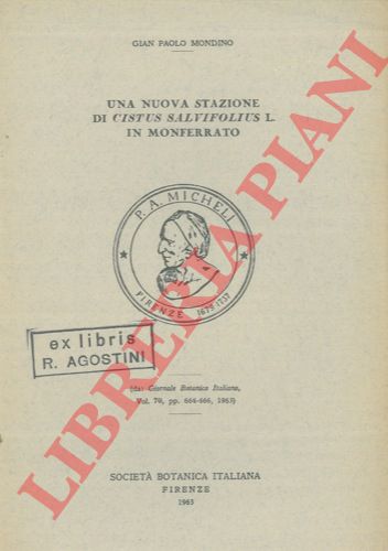 MONDINO Gian Paolo - - Una nuova stazione di Cistus Salvifolius L. in Monferrato.