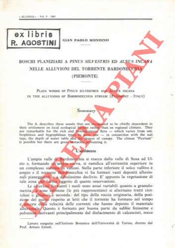 MONDINO Gian Paolo - - Boschi planiziari a Pinus silvestris ed Alnus incana nelle alluvioni del torrente Bardonecchia (Piemonte).