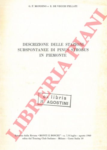 MONDINO Gian Paolo - DE VECCHI PELLATI E. - - Descrizione delle stazioni subspontanee di Pinus strobus in Piemonte.