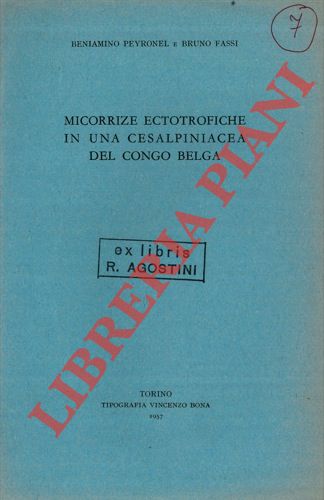 PEYRONEL Beniamino - FASSI Bruno - - Micorrize ectotrofiche in una cesalpinacea del Congo belga.