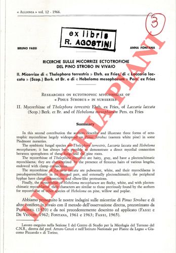 FASSI Bruno - FONTANA Anna - - Ricerche sulle micorrize ectotrofiche del Pino strobo in vivaio.