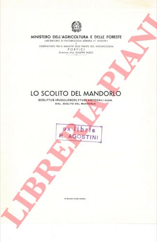 - - Lo scolito del mandorlo.