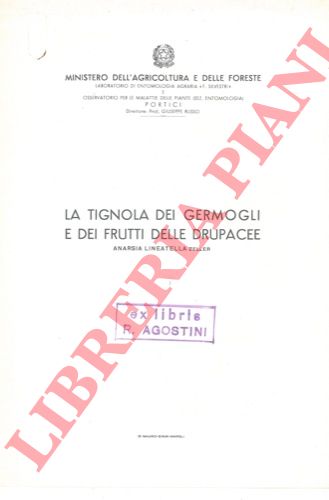 RUSSO Giuseppe - - La tignola dei germogli e dei frutti delle drupacee.