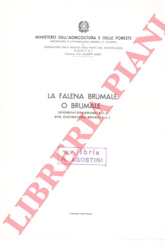 RUSSO Giuseppe - - La falena brumale o brumale.