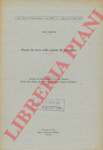 CORONA Elio - - Danni da neve nelle pinete di Civezzano.