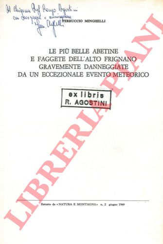 MINGHELLI Ferruccio - - Le pi belle abetina e faggete dell'Alto Frignano gravemente danneggiate da un eccezionale evento meteorico.