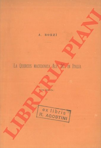 BORZI' A. - - La Quercus macedonica Alp. Dc. In Italia.