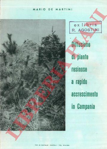 DE MARTINI Mario - - Diffusione di piante resinose a rapido accrescimento in Campania.