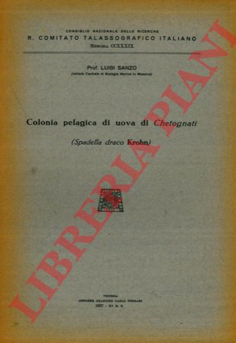 SANZO Luigi - - Cologna pelagica di uova di Chetognati (Spadella draco Krohn).