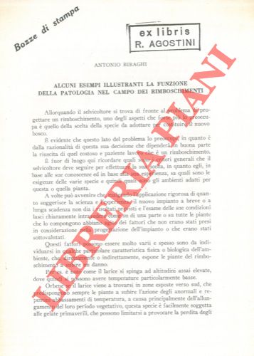 BIRAGHI Antonio - - Alcuni esempi illustranti la funzione della patologia nel campo dei rimboschimenti.