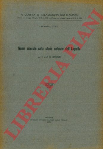 GRASSI (Battista) - - Nuove ricerche sulla storia naturale dell'Anguilla.