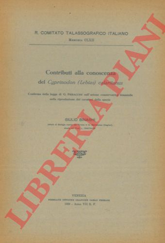 BINAGHI Giulio - - Contributi alla conoscenza di Cypronodon (Lebias) calaritanus. Conferma della legge di G. Pieraccini sull'aqzione conservatrice femminile nella riproduzione dei caratteri della specie.