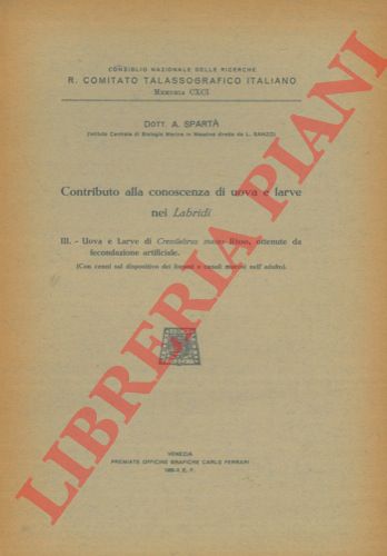 SPARTA' (Antonio) - - Contributo alla conoscenza di uova e larve nei Labridi. III. Uova e larve di Crenilabrus massa Risso, ottenute da fecondazione artificiale. (Con cenni sul dispositivo dei forami e canali mucosi nell'adulto).