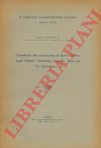SPARTA' (Antonio) - - Contributo alla conoscenza di uova e larve negli ofididi 