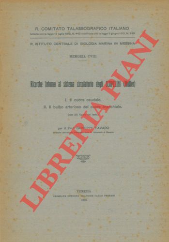 FAVARO Giuseppe - - Ricerche intorno al sistema circolatorio degli Scopelini (Muller). I. Il cuore caudale. II. Il bulbo arterioso del cuore branchiale.