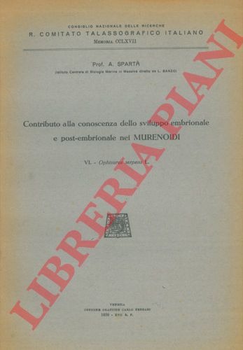 SPARTA' (Antonio) - - Contributo alla conoscenza dello sviluppo embrionale e post-embrionale nei Murenoidi. VI. Ophisurus serpens.
