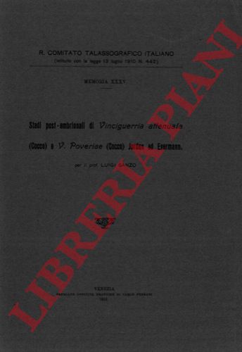 SANZO Luigi - - Stadi post-embrionali di Vinciguerria attenuata (Cocco) e V. Poveriae (Cocco) Jordan ed Evermann.