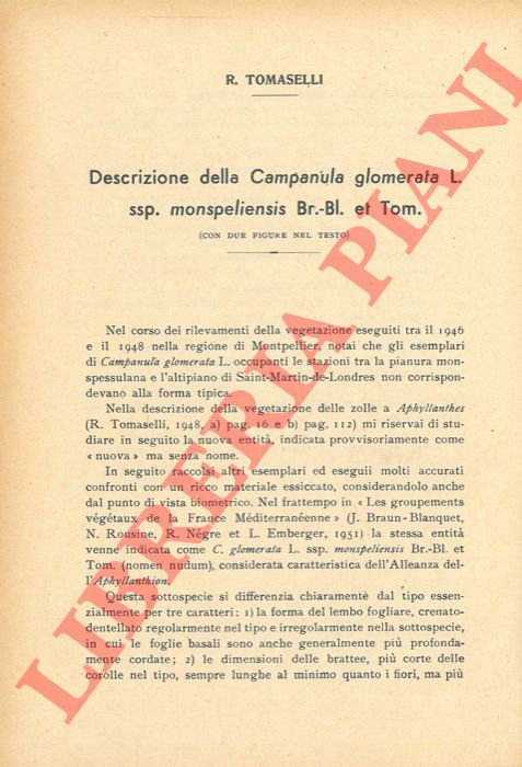 TOMASELLI R. - - Descrizione della Campanula glomerata L. ssp. monspeliensis Br.-Bl et Tom.