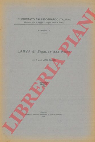 SANZO Luigi - - Larva di Stomias boa Risso.