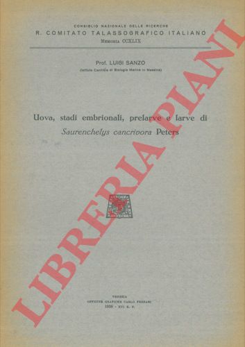 SANZO Luigi - - Uova, stati embrionali, prelarve e larve di Saurenchelys cancrivora Peters.