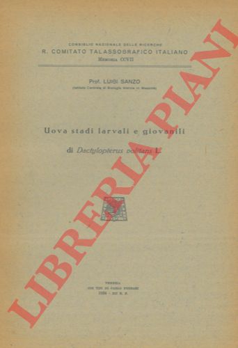 SANZO Luigi - - Uova stati larvali e giovanili di Dactylopterus volitans L.