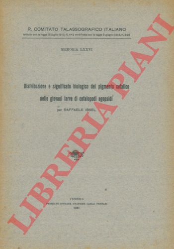 ISSEL Raffaele - - Distribuzione e significato biologico del pigmento cefalico nelle giovani larve di cefalopodi egopsidi.