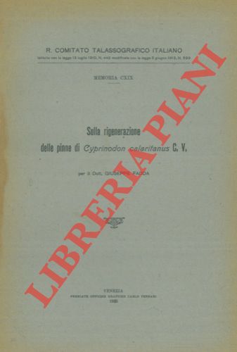 FADDA Giuseppe - - Sulla rigenerazione delle pinne di Cyprinodon calaritanus C.V.