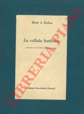 DUBOS Ren J. - - La cellula batterica in relazione coi problemi della virulenza, dell'immunit e della chemioterapia.