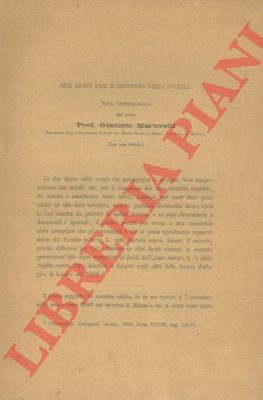 MARTORELLI Giacinto - - Due nuovi casi d'ibridismo negli uccelli. 