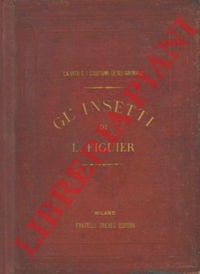 FIGUIER Luigi - - Gl'insetti.  Vita e costumi degli animali. 