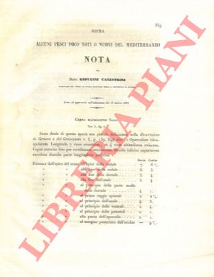 CANESTRINI Giovanni - - Sopra alcuni pesci poco noti o nuovi del Mediterraneo.