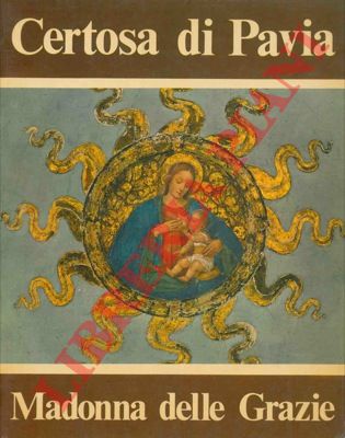 - - Certosa di Pavia. Madonna delle Grazie.