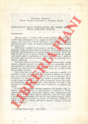 PETRETTI Francesco - - Osservazioni sulla nidificazione del Nibbio bruno nella campagna romana.