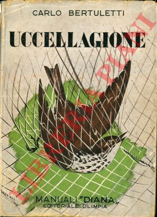 BERTULETTI Carlo - - Uccellagione.