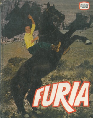 SEYMANDI Maurizio - - Furia.