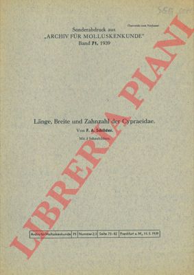 SCHILDER F.A. - - Lange, Breite, und Zahnzahl der Cypraeidae.