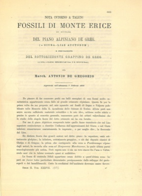 DE GREGORIO Antonio - - Nota intorno a taluni fossili di Monte Erice di Sicilia del piano Alpiniano De Greg. (= Giura-Lias auctorum) e precisamente del sottorizzonte Grappino De Greg. (= zona a Harpoc. murchisonae Sow. e H. bifrons Brug.).