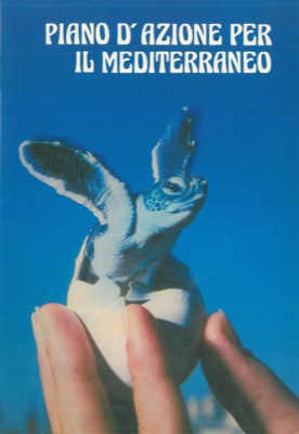 - - Piano d'azione per il Mediterraneo.